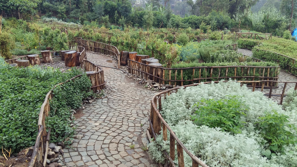 Inside Guide | Addis Ababa