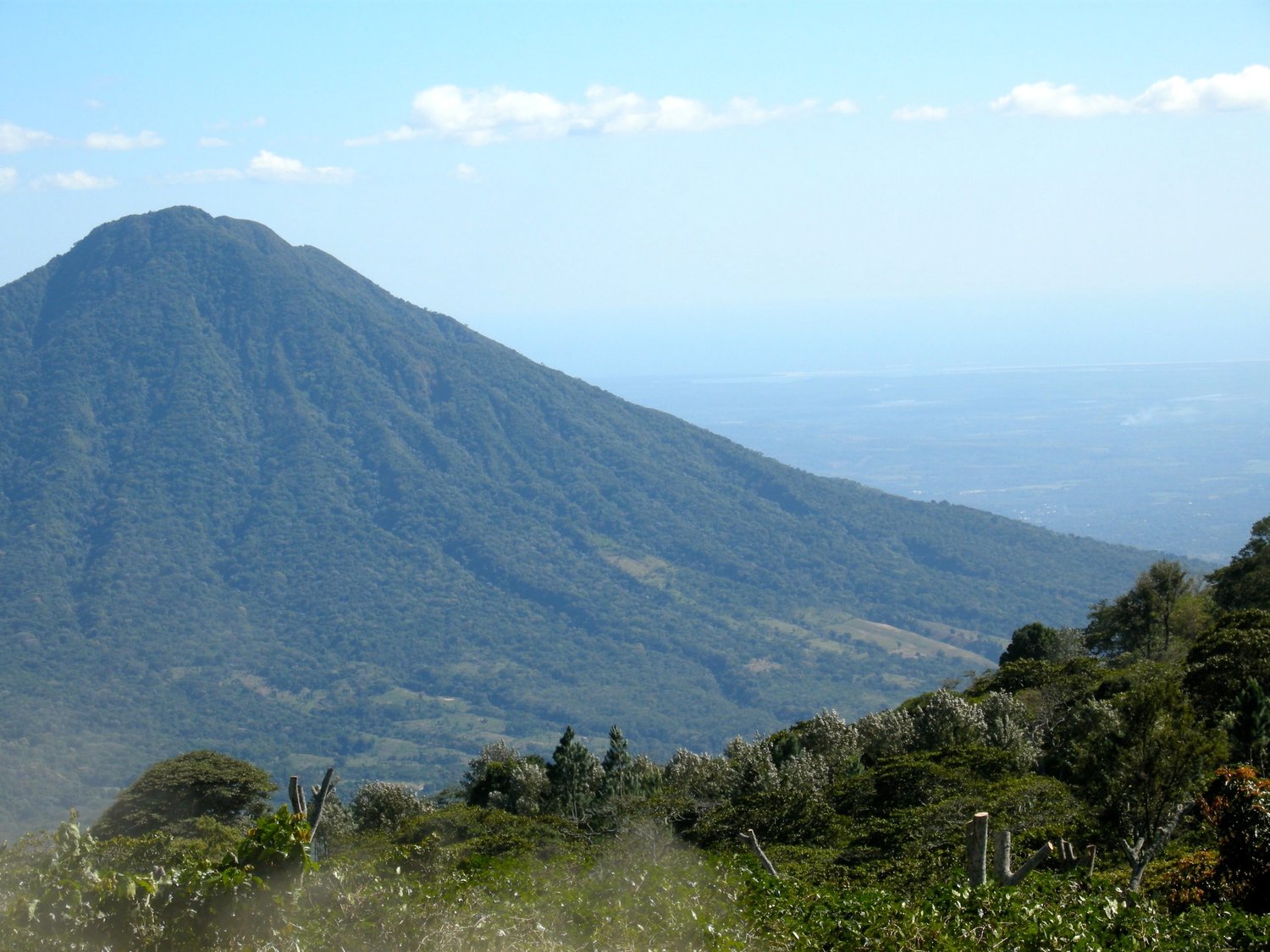 Farm Focus | Los Pirineos, El Salvador