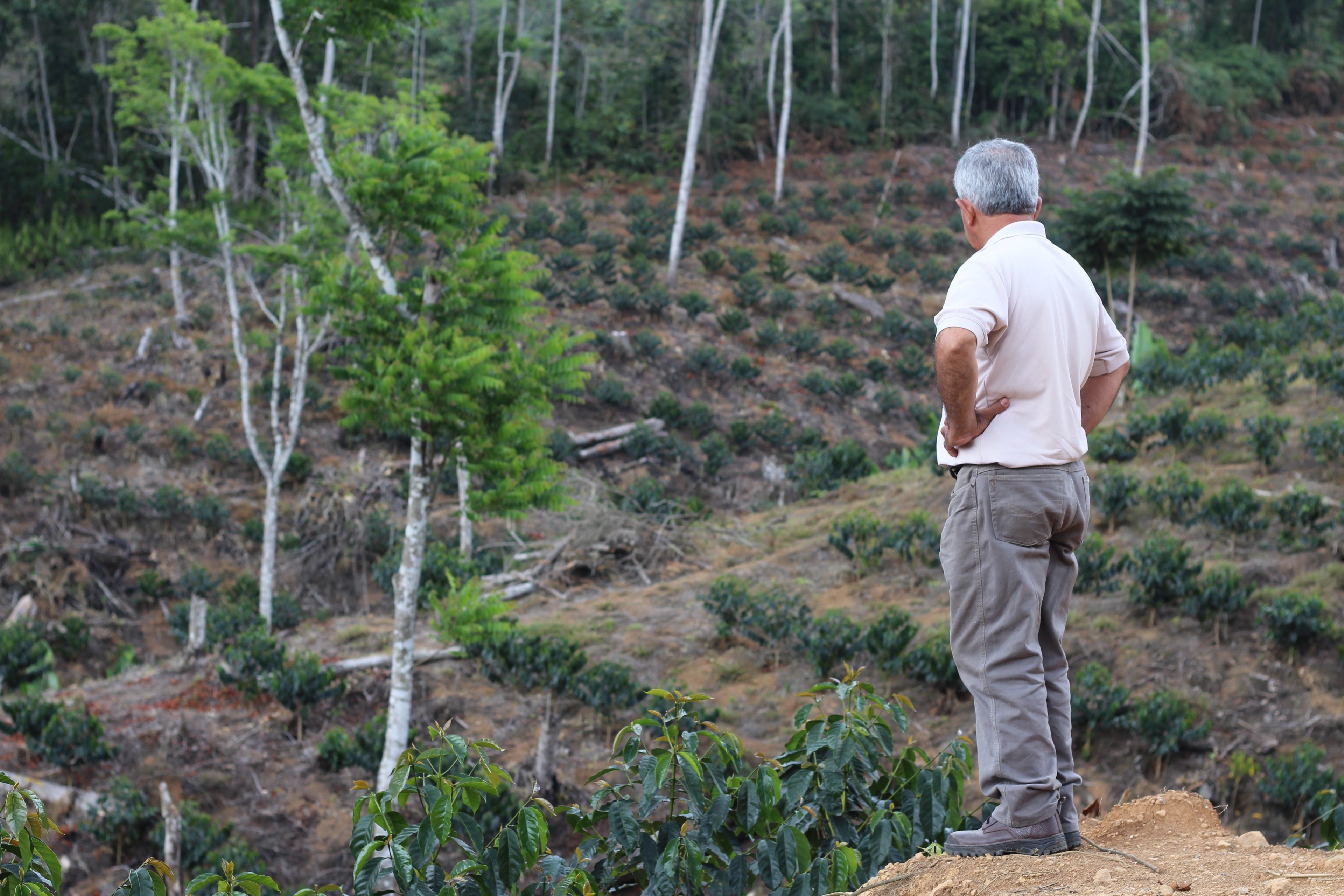 Farm Focus | Arcangel, Bolivia
