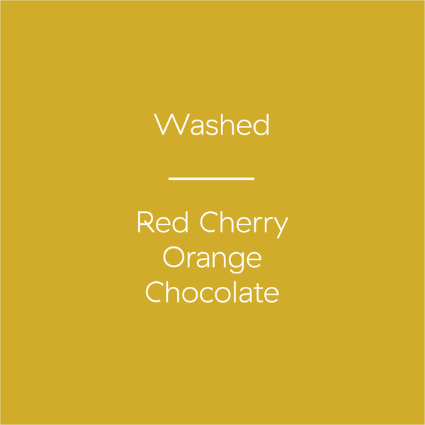 Honduras | Alix Ramirez