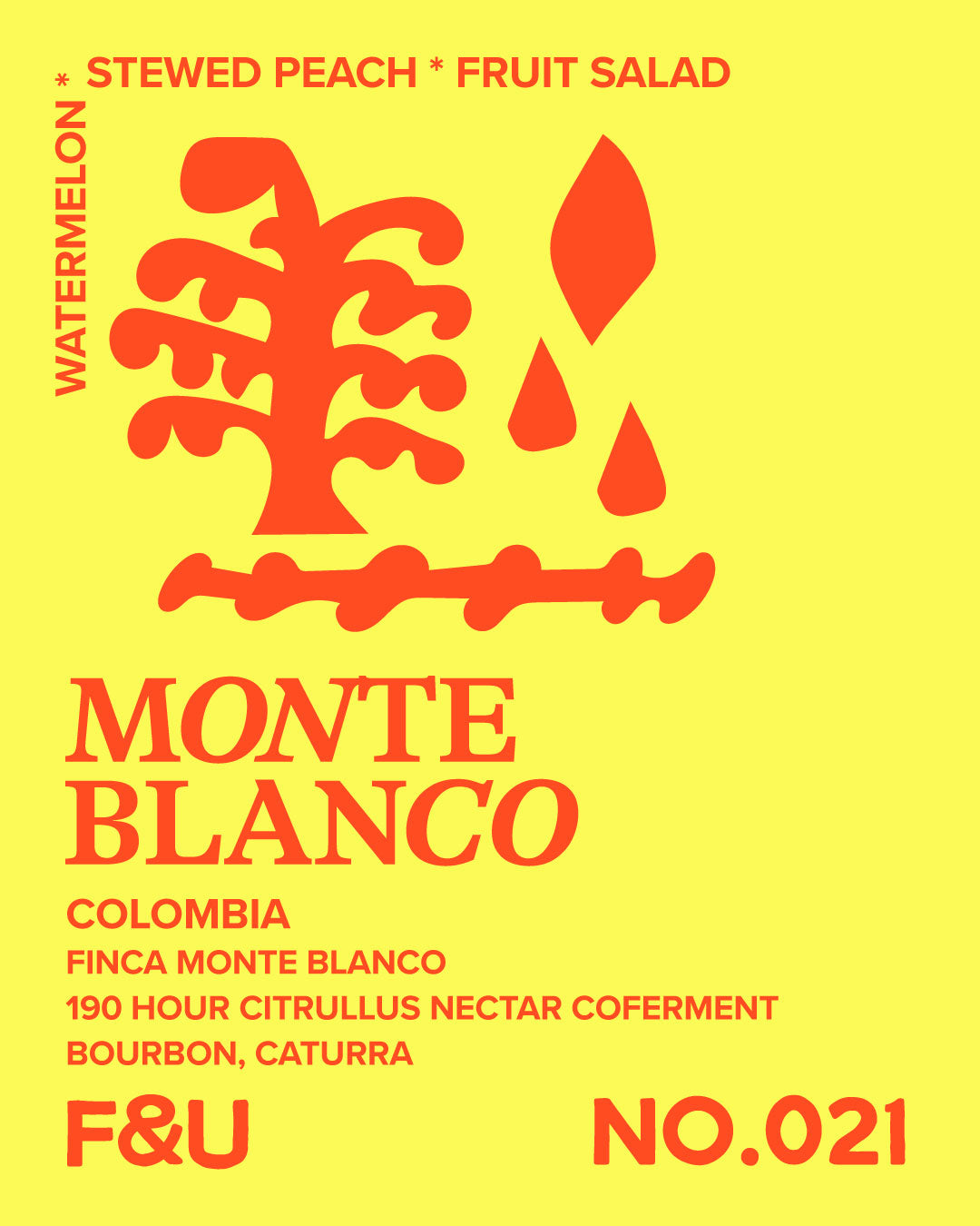 Photo of Freak & Unique XXI - Colombia, Monte Blanco