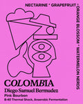 Colombia | Diego Samuel Bermudez