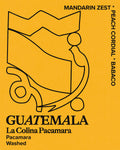 Guatemala | La Colina Pacamara