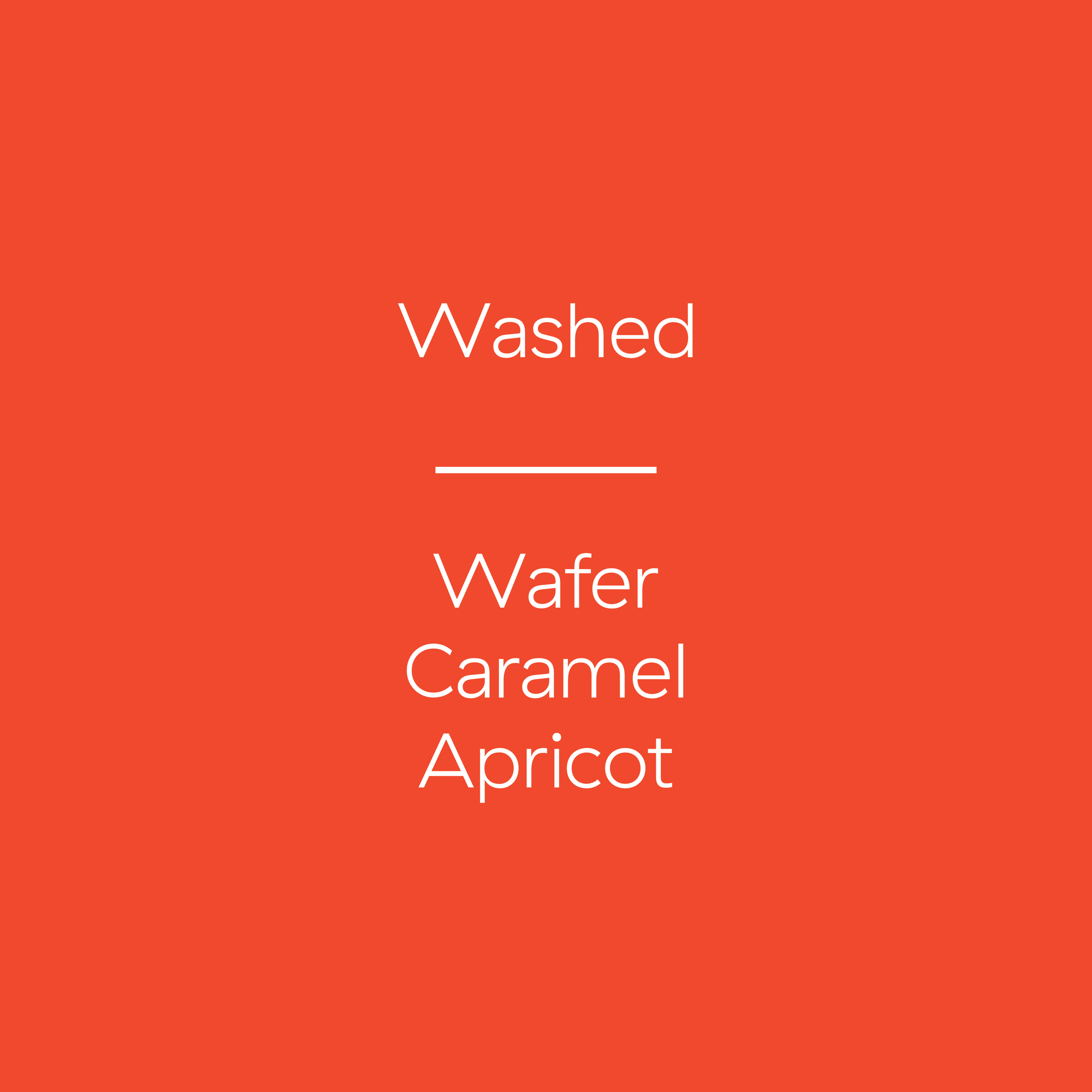 Nicaragua | Don Victor