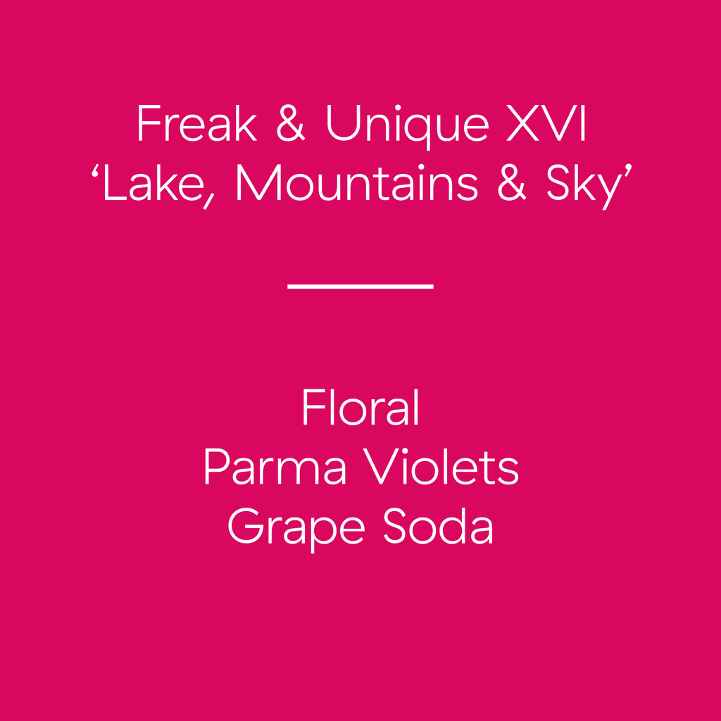 Freak & Unique XVI - 'Lake, Mountains & Sky' | Brazil | Rafael Vinhal Grape