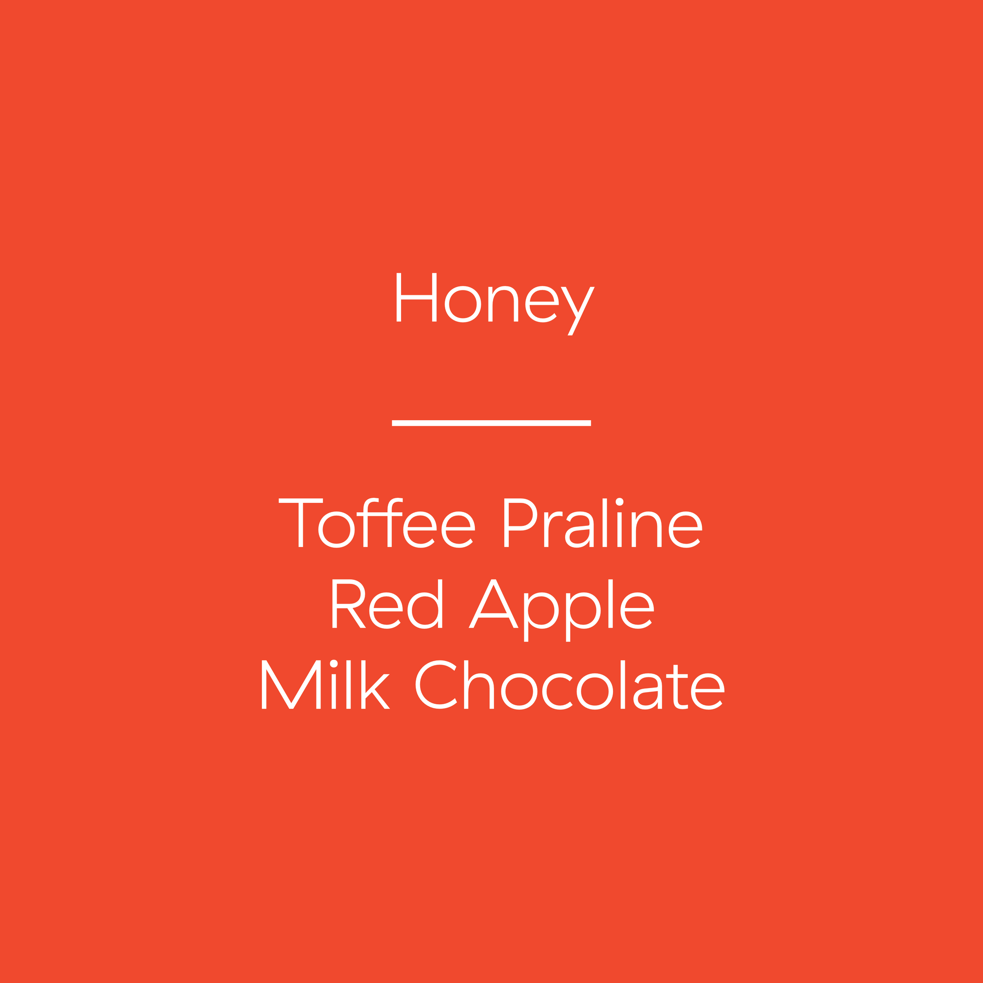 Nicaragua | Santa Maria | Honey