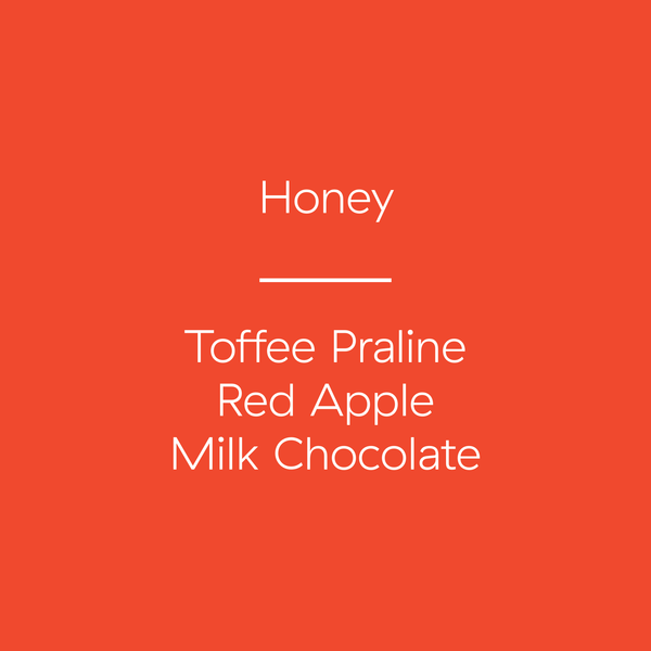 Nicaragua | Santa Maria | Honey