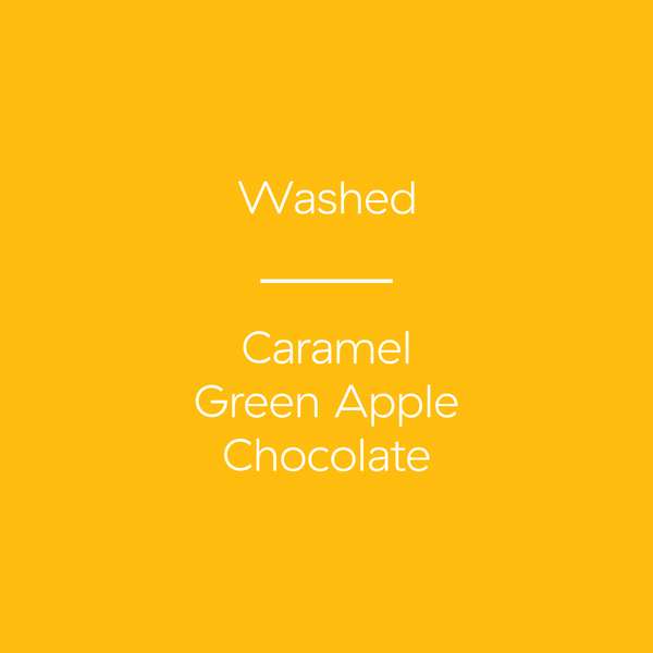 Guatemala | Todosantarita