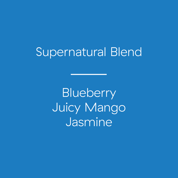 Zombie Disco Squad x Hundred House Coffee | Super Natural Blend