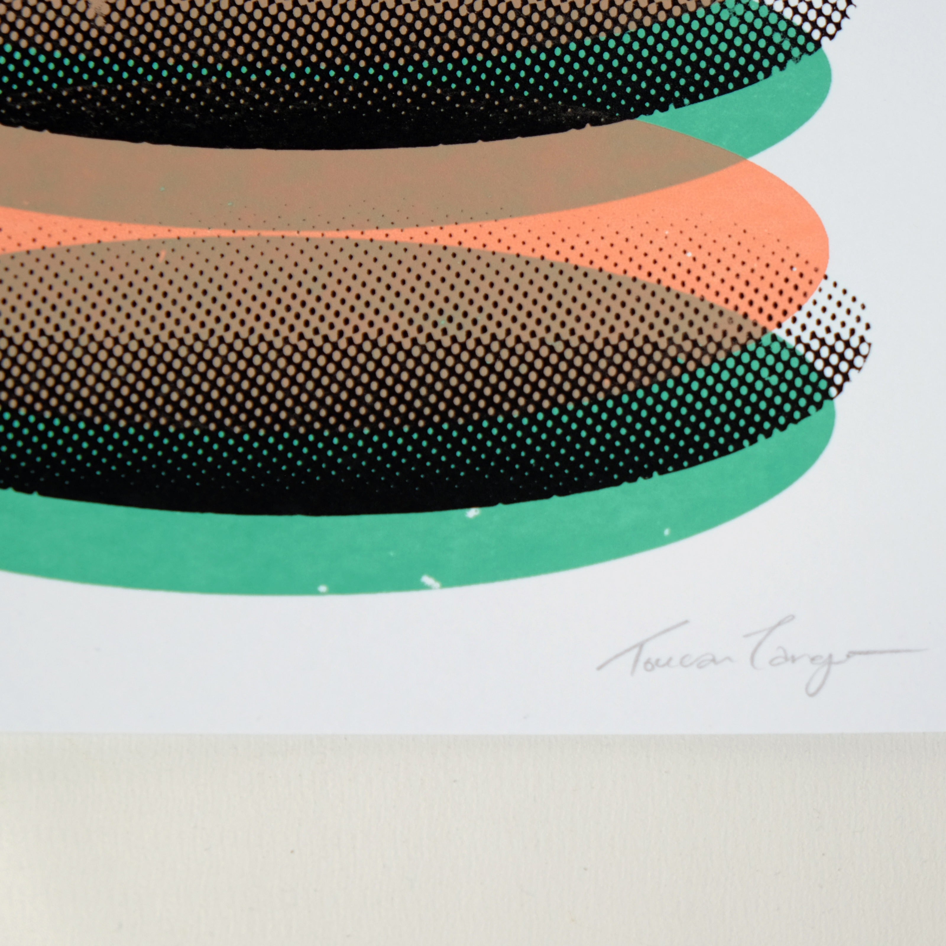 Freak & Unique I | Toucan Tango Limited Edition Print
