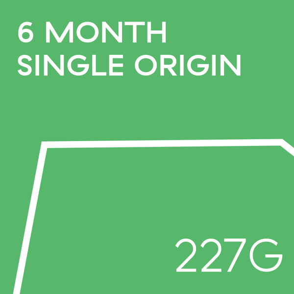 6 Month Pre-Paid Single Origins Subscription 227g | 1-4 bags a month