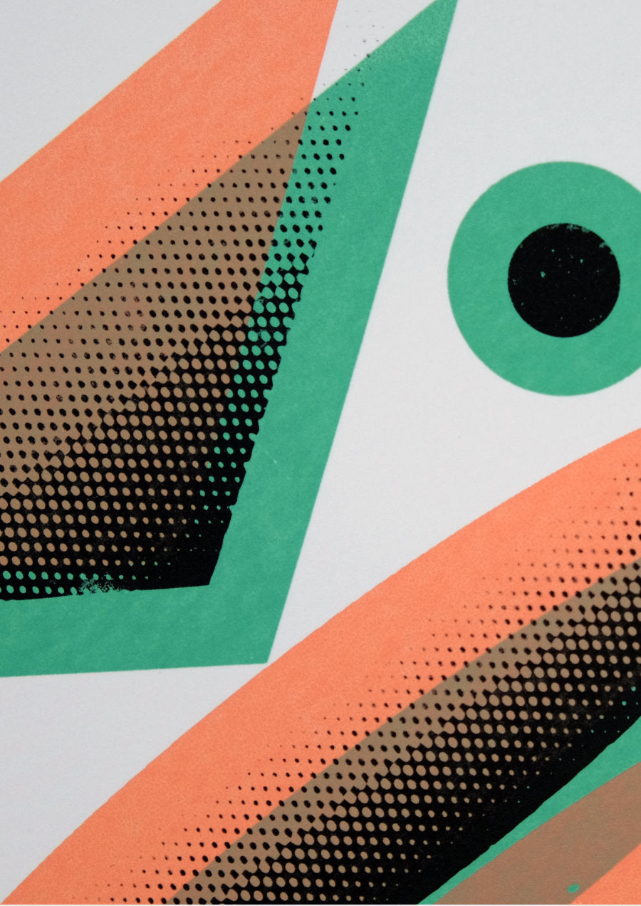 Freak & Unique I | Toucan Tango Limited Edition Print
